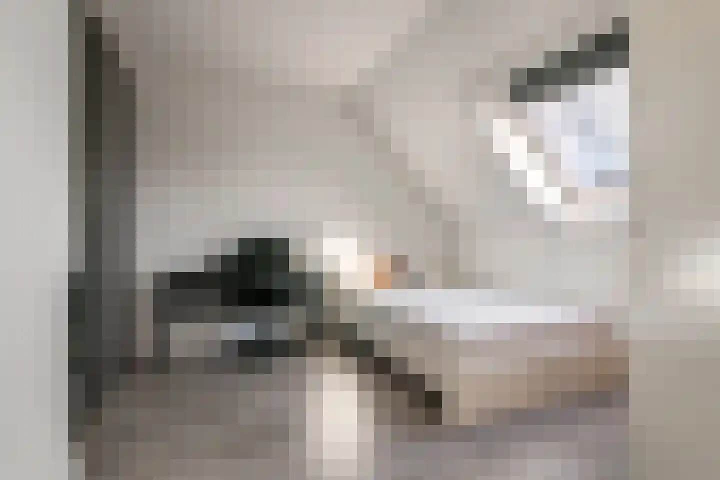 Bessendreef 8 Asperen thumbnail 34