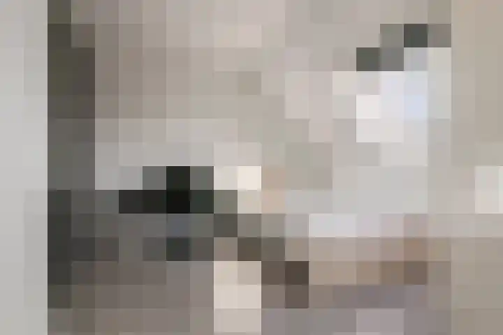 Bessendreef 8 Asperen thumbnail 34