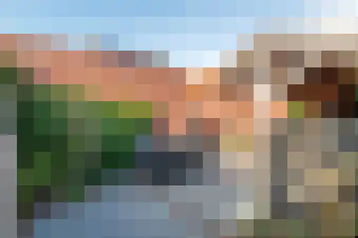Bessendreef 8 Asperen thumbnail 43