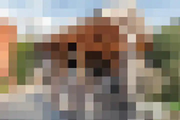 Bessendreef 8 Asperen thumbnail 44