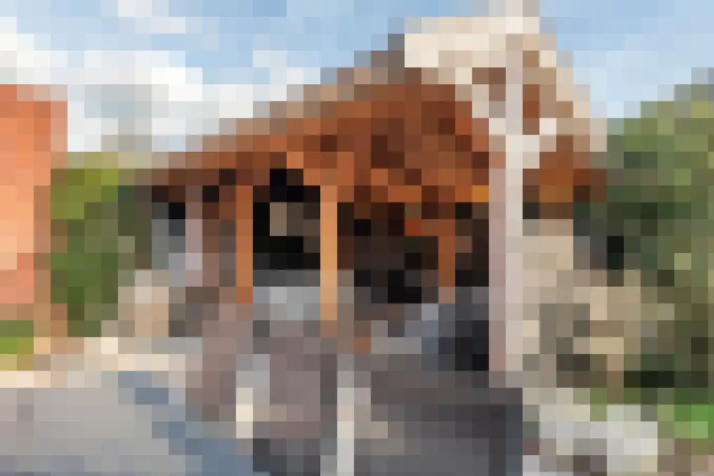 Bessendreef 8 Asperen thumbnail 44