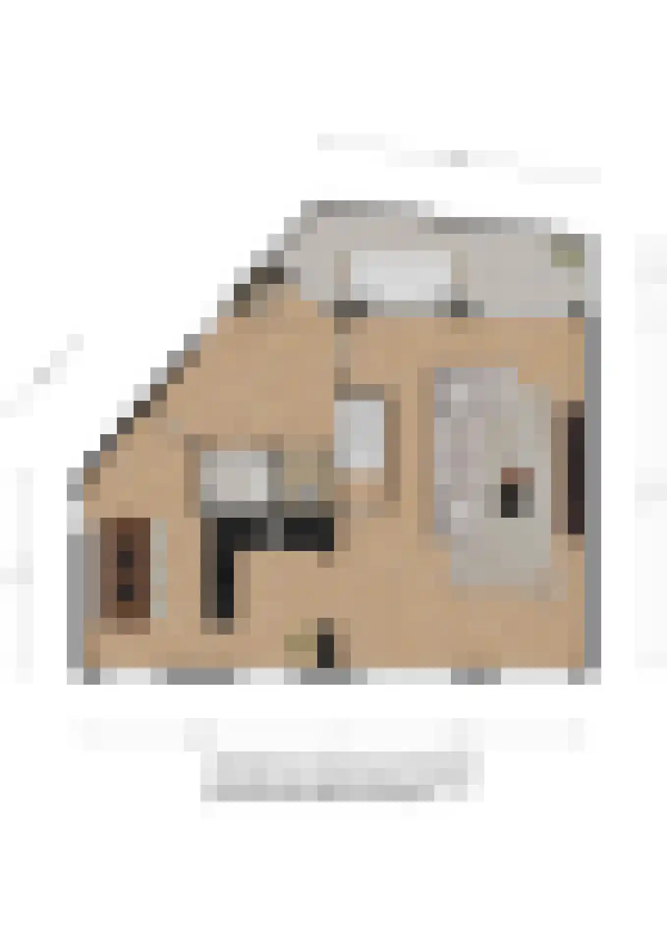 Bessengaard 101 Spijkenisse thumbnail 11