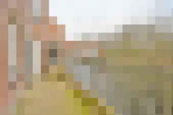Bessengaard 101 Spijkenisse thumbnail 24