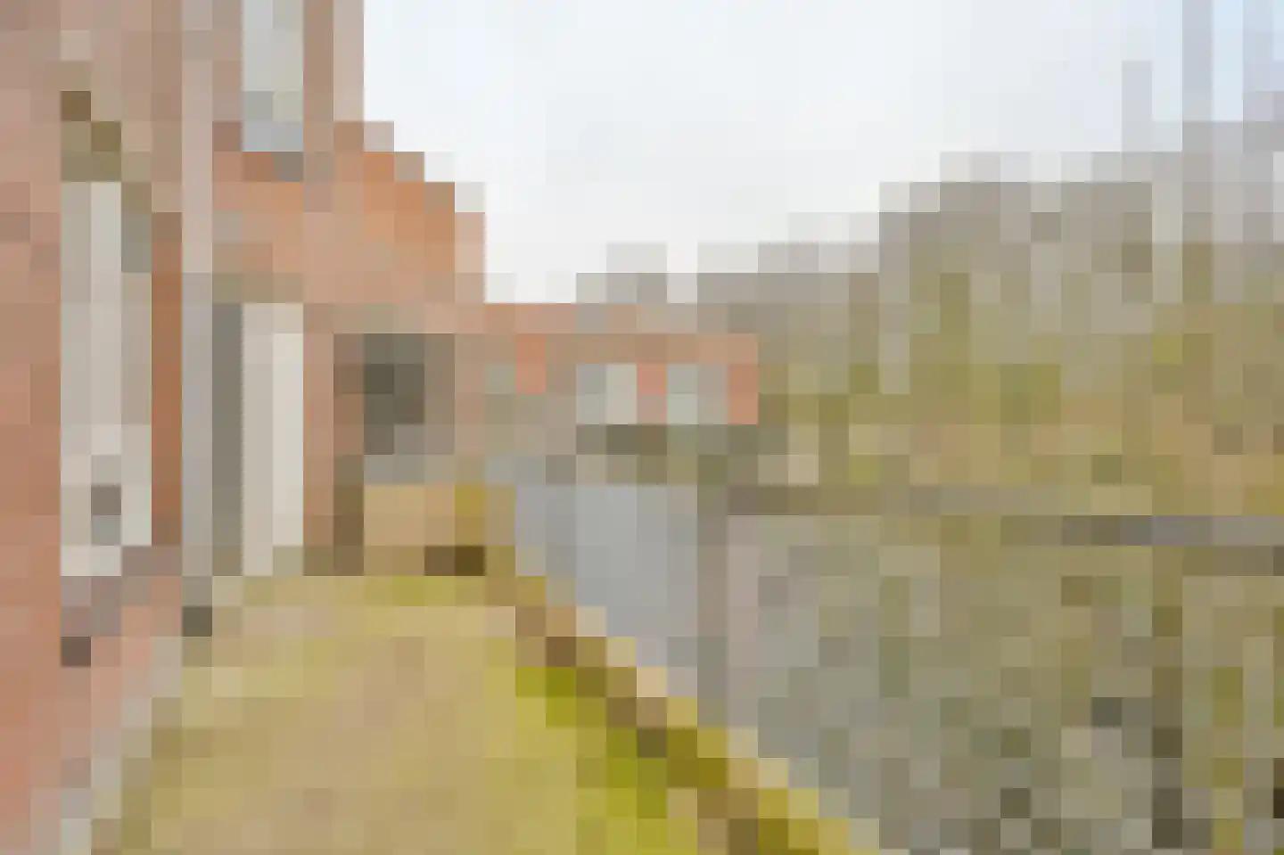 Bessengaard 101 Spijkenisse thumbnail 24