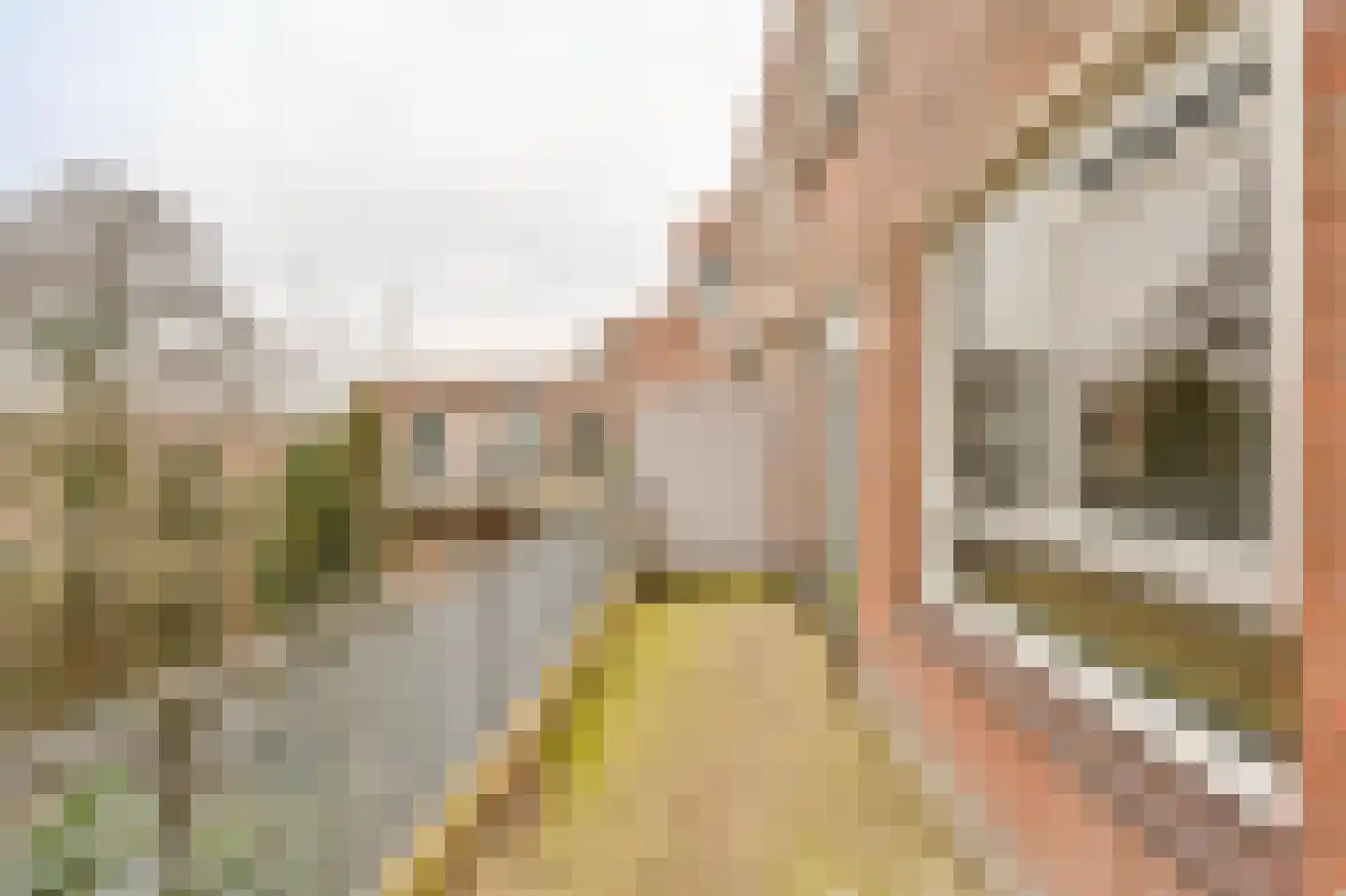 Bessengaard 101 Spijkenisse thumbnail 25
