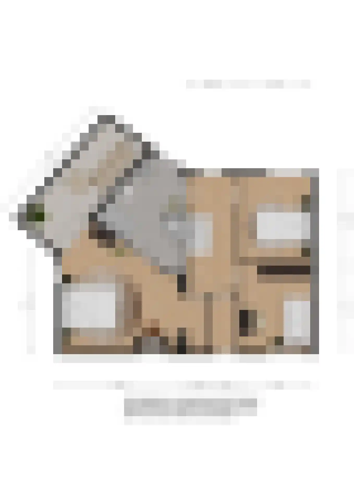 Bessengaard 101 Spijkenisse thumbnail 26