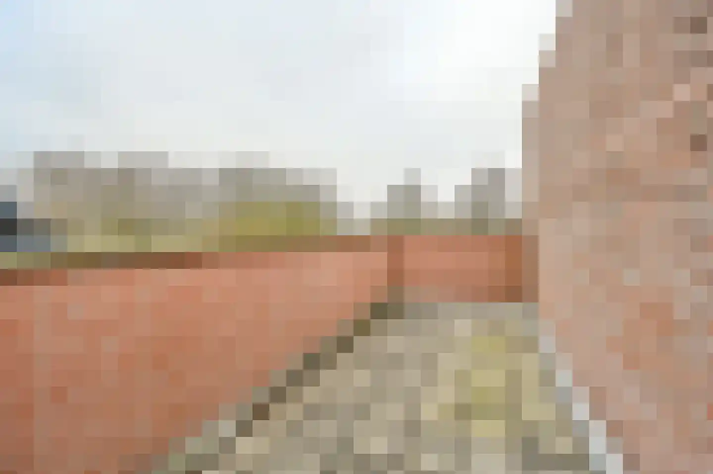 Bessengaard 101 Spijkenisse thumbnail 31
