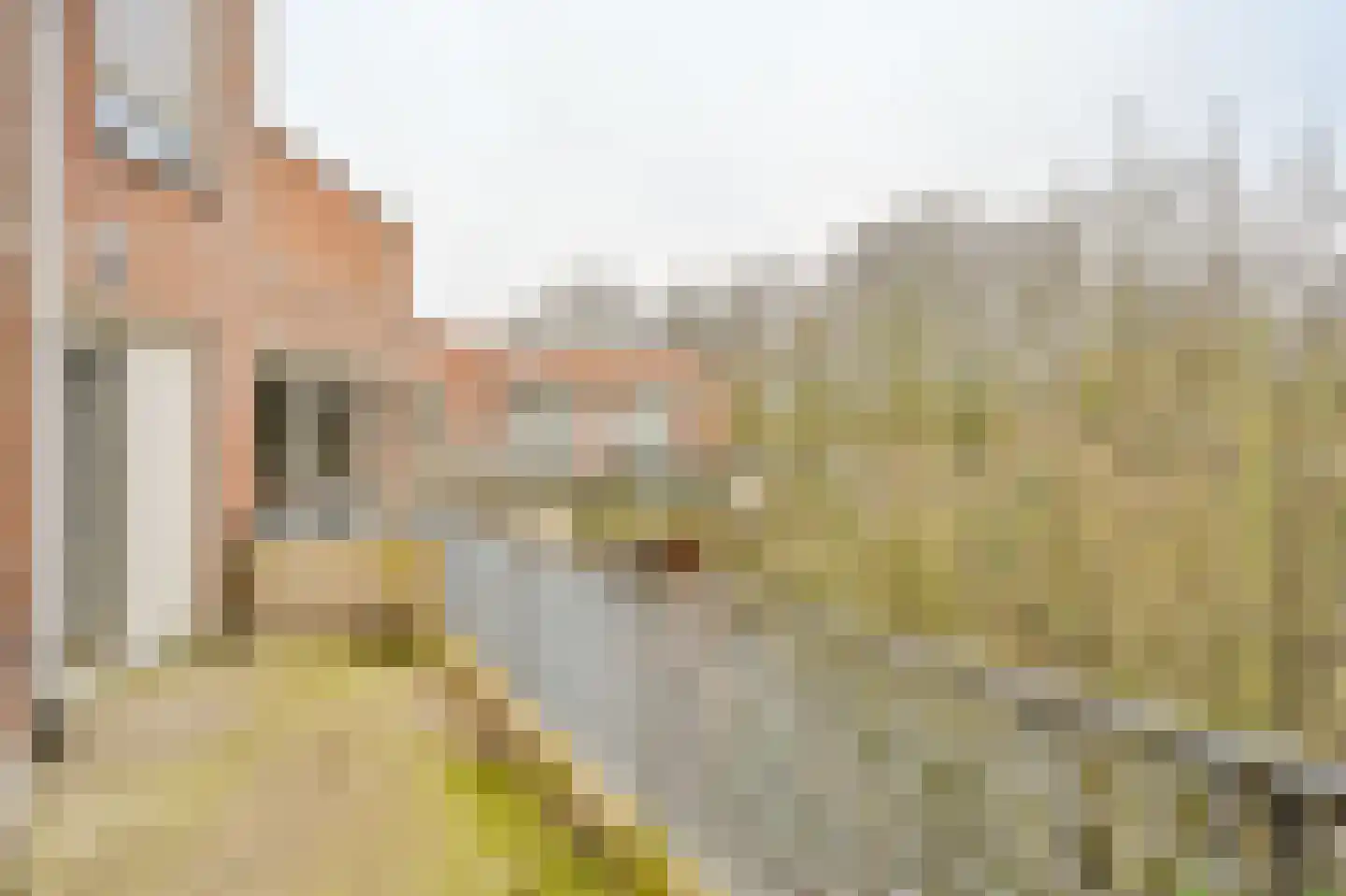 Bessengaard 101 Spijkenisse thumbnail 5