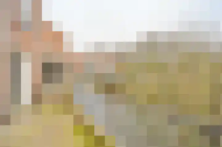 Bessengaard 101 Spijkenisse thumbnail 5