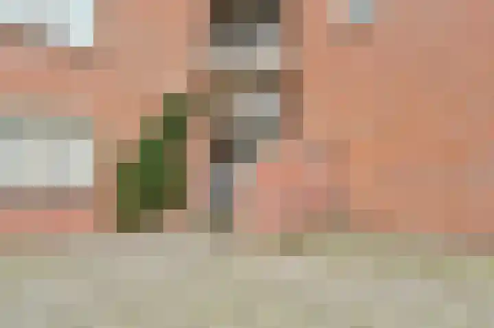 Bessengaard 101 Spijkenisse thumbnail 7