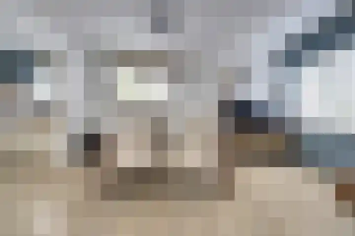 Bessengaard 25 Spijkenisse thumbnail 5