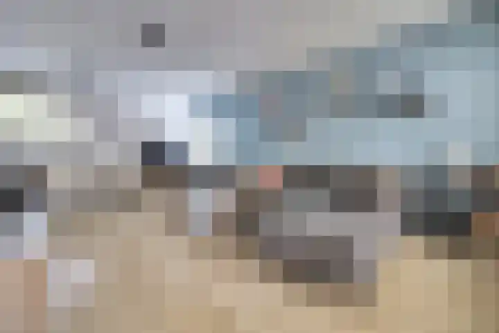 Bessengaard 25 Spijkenisse thumbnail 6