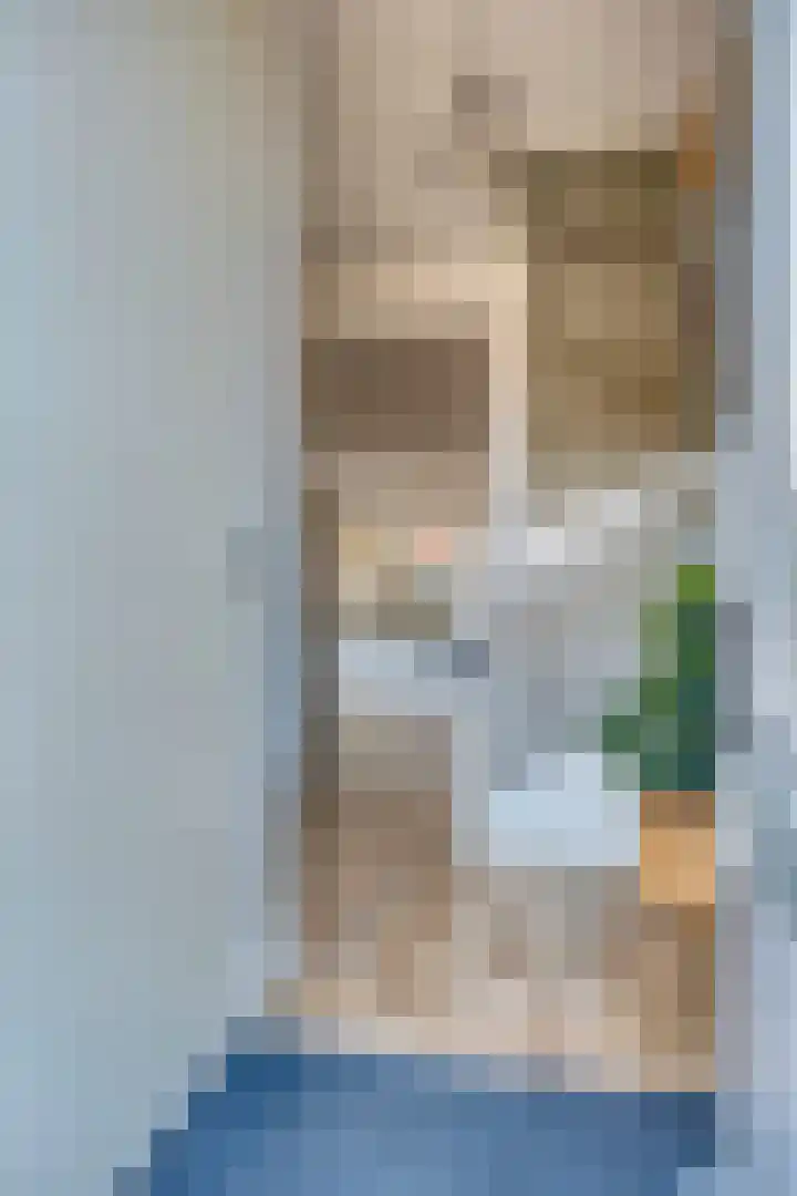 Bessengaarde 16 Hendrik-Ido-Ambacht thumbnail 7