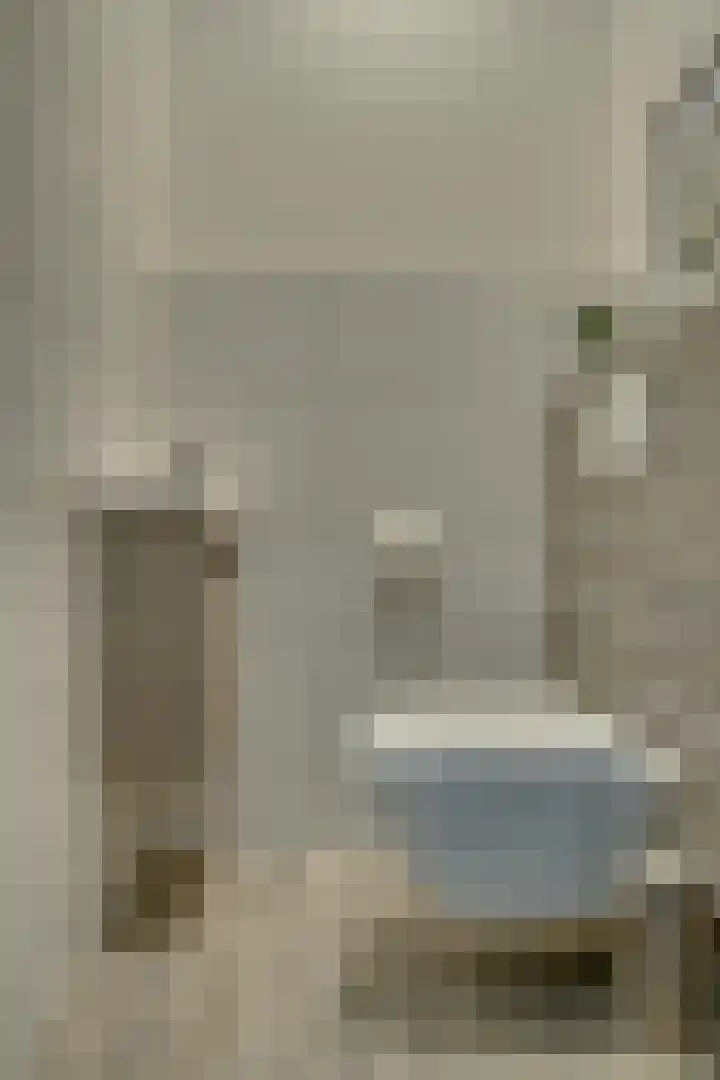 Bessengaarde 16 Hendrik-Ido-Ambacht thumbnail 8