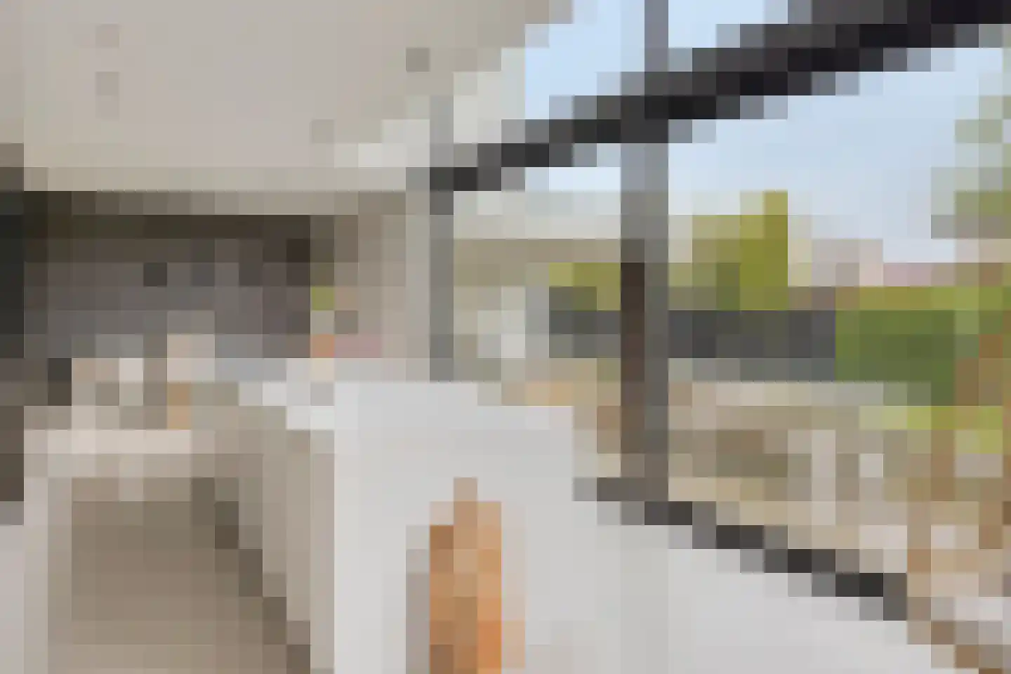 Bessenhof 4 Uden thumbnail 14