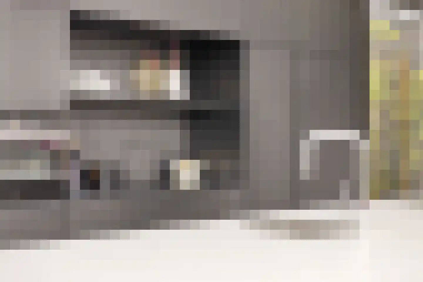 Bessenhof 4 Uden thumbnail 16