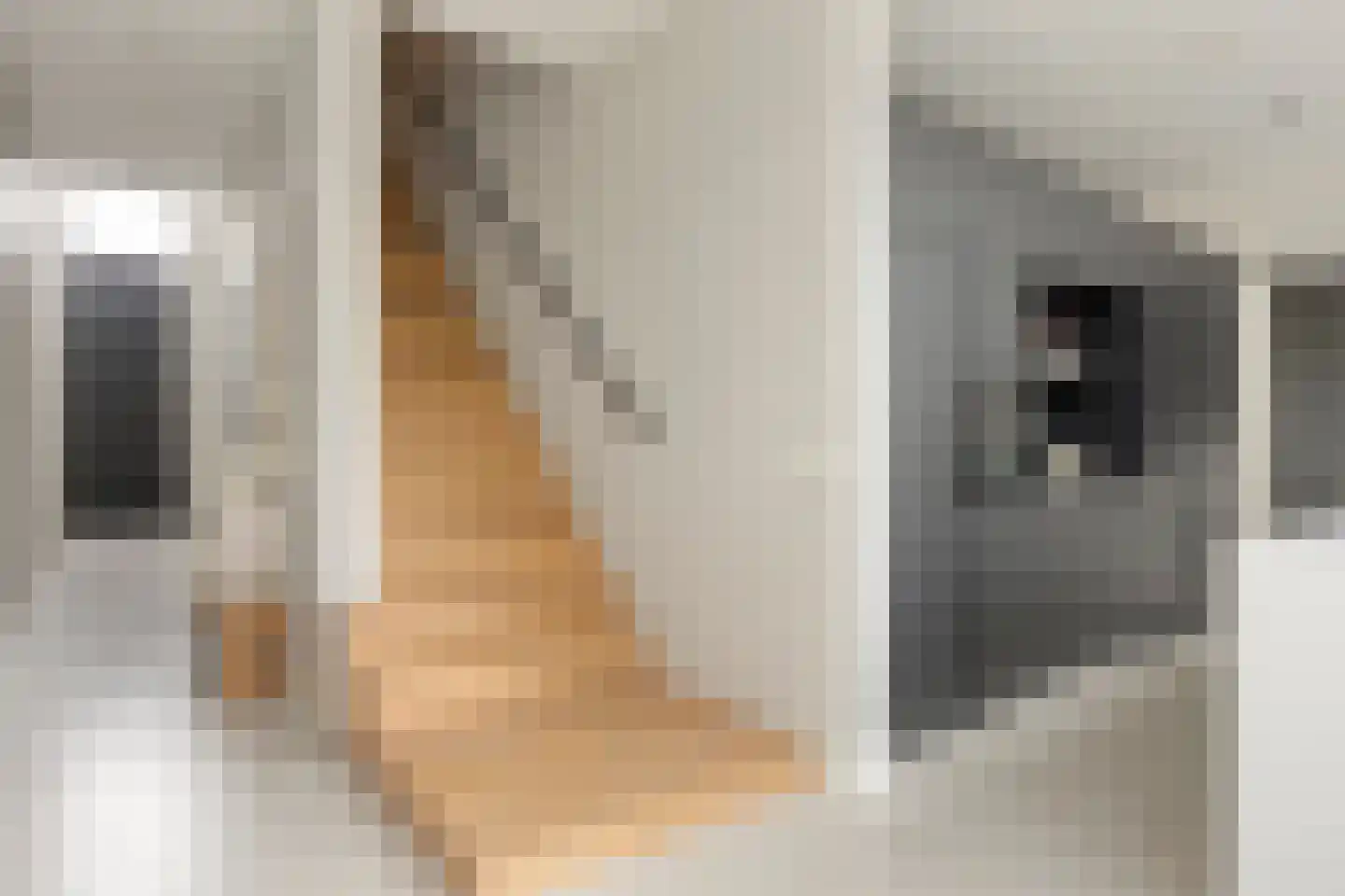 Bessenhof 4 Uden thumbnail 18