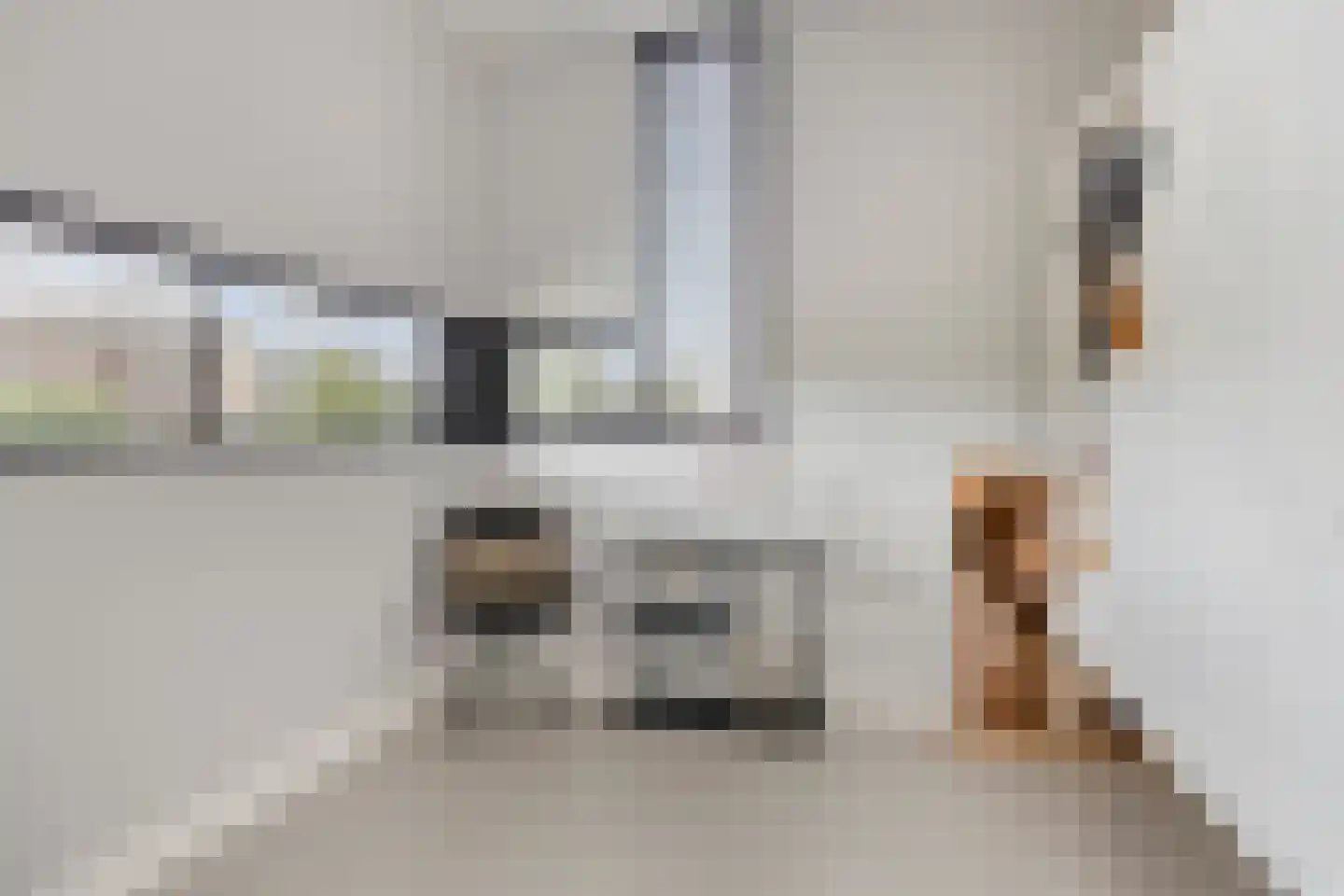 Bessenhof 4 Uden thumbnail 20