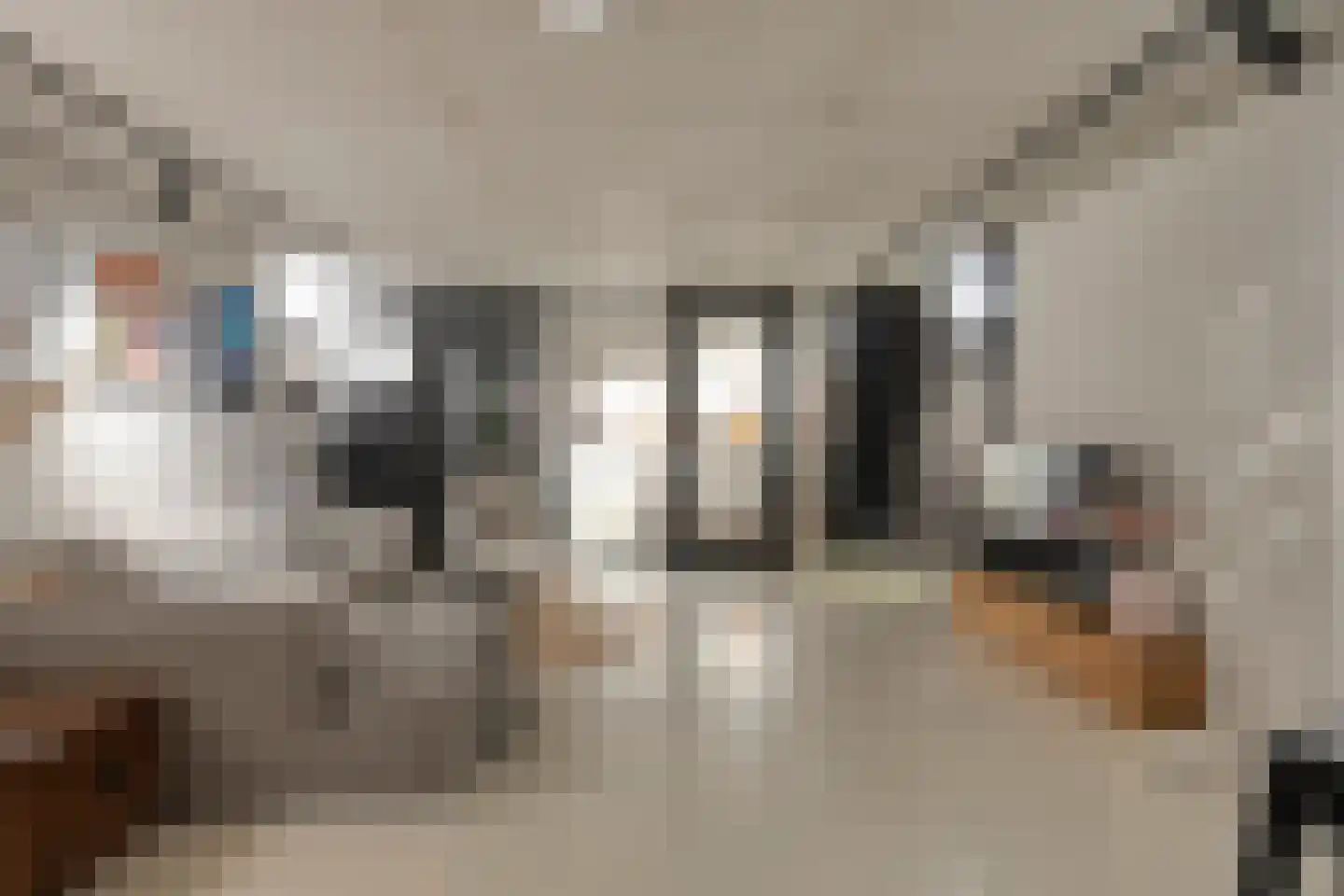 Bessenhof 4 Uden thumbnail 24