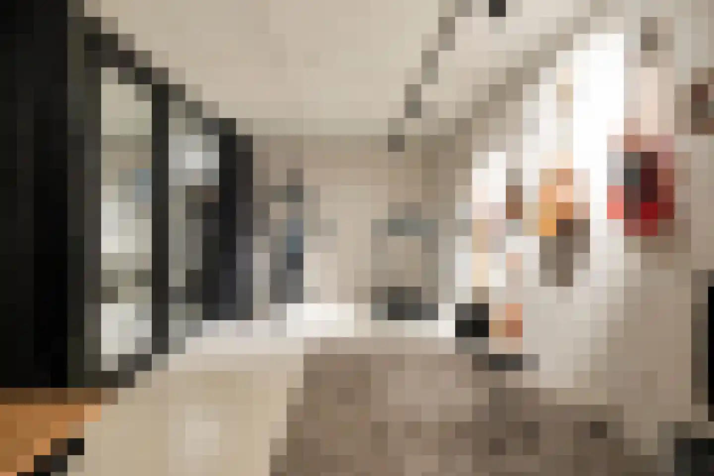 Bessenhof 4 Uden thumbnail 27