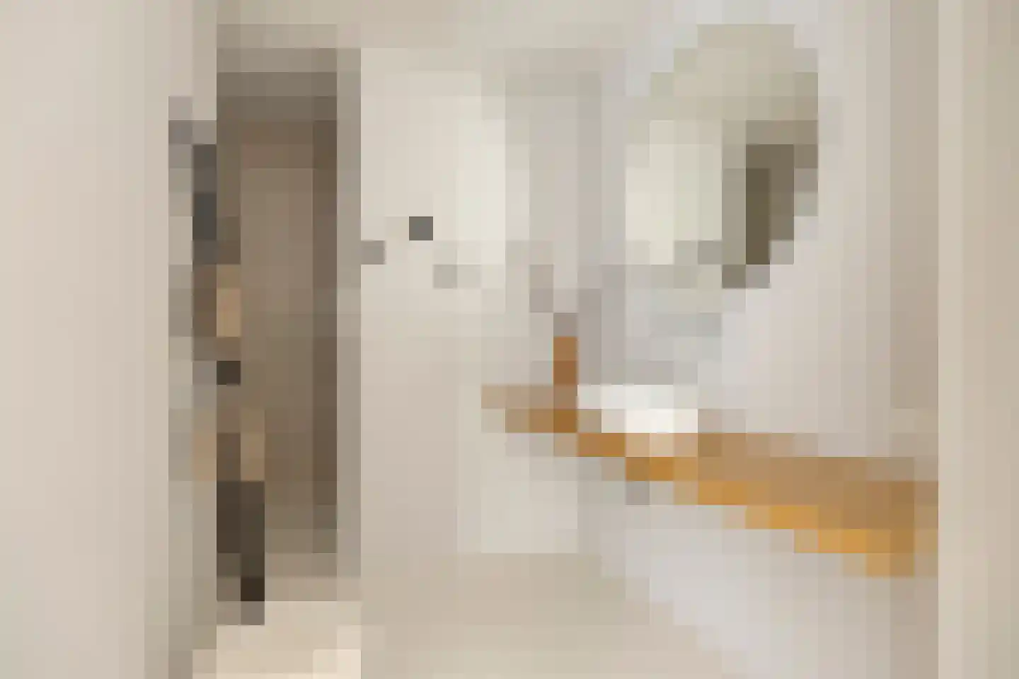 Bessenhof 4 Uden thumbnail 41