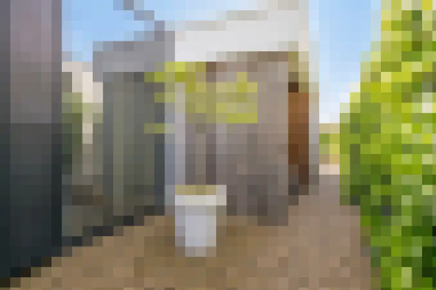 Bessenhof 4 Uden thumbnail 43