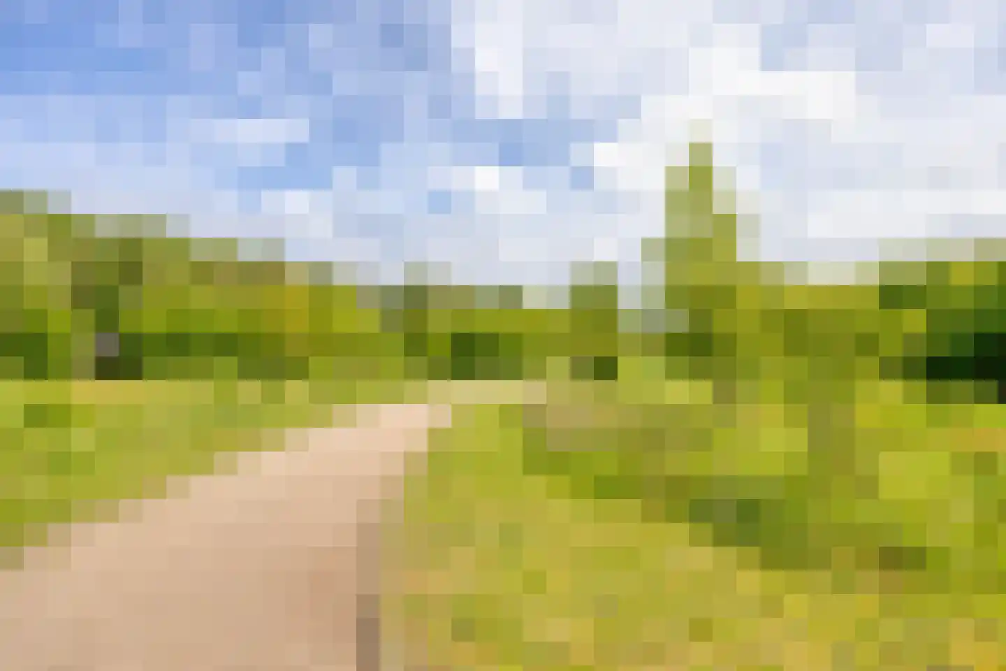 Bessenhof 4 Uden thumbnail 51