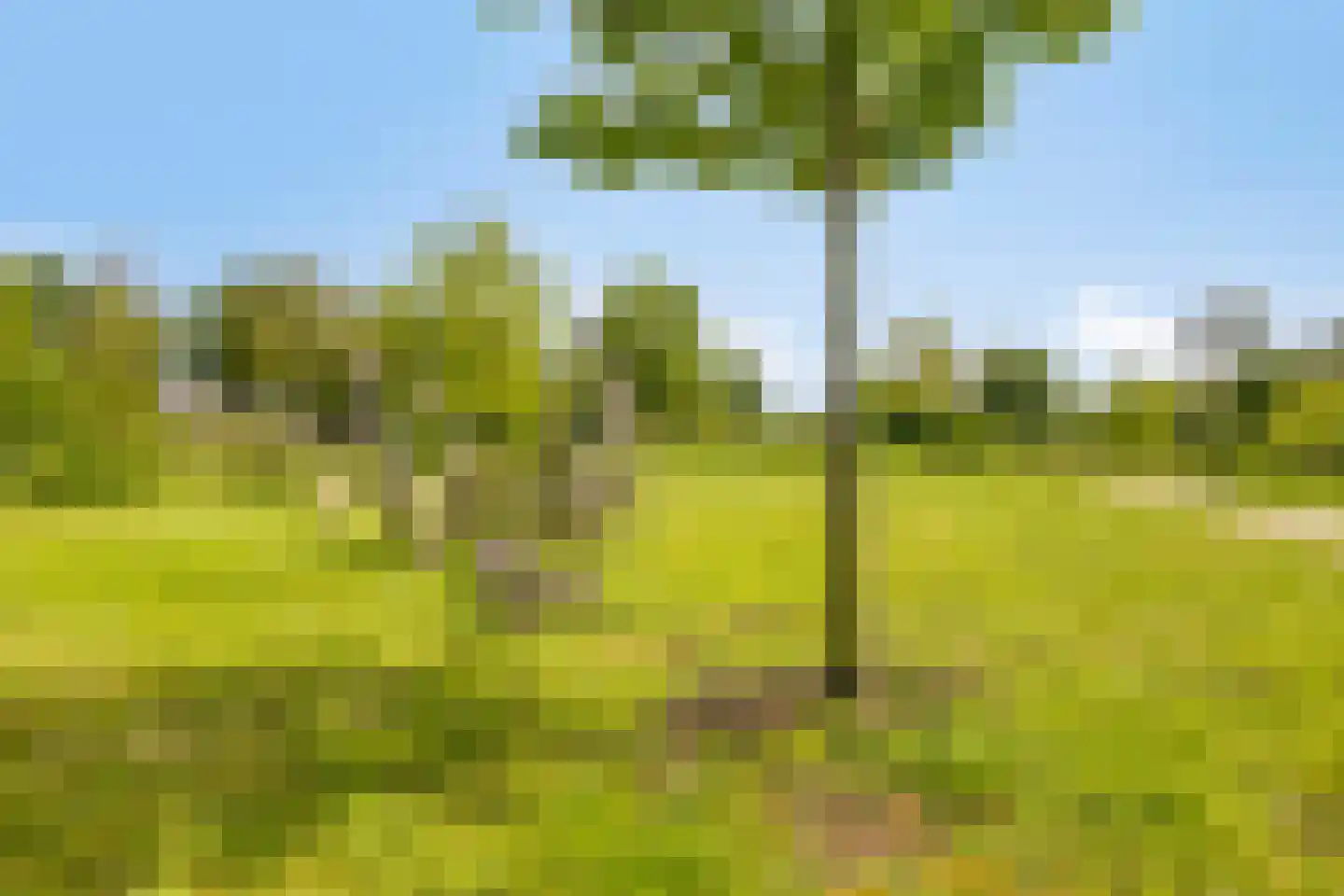 Bessenhof 4 Uden thumbnail 52