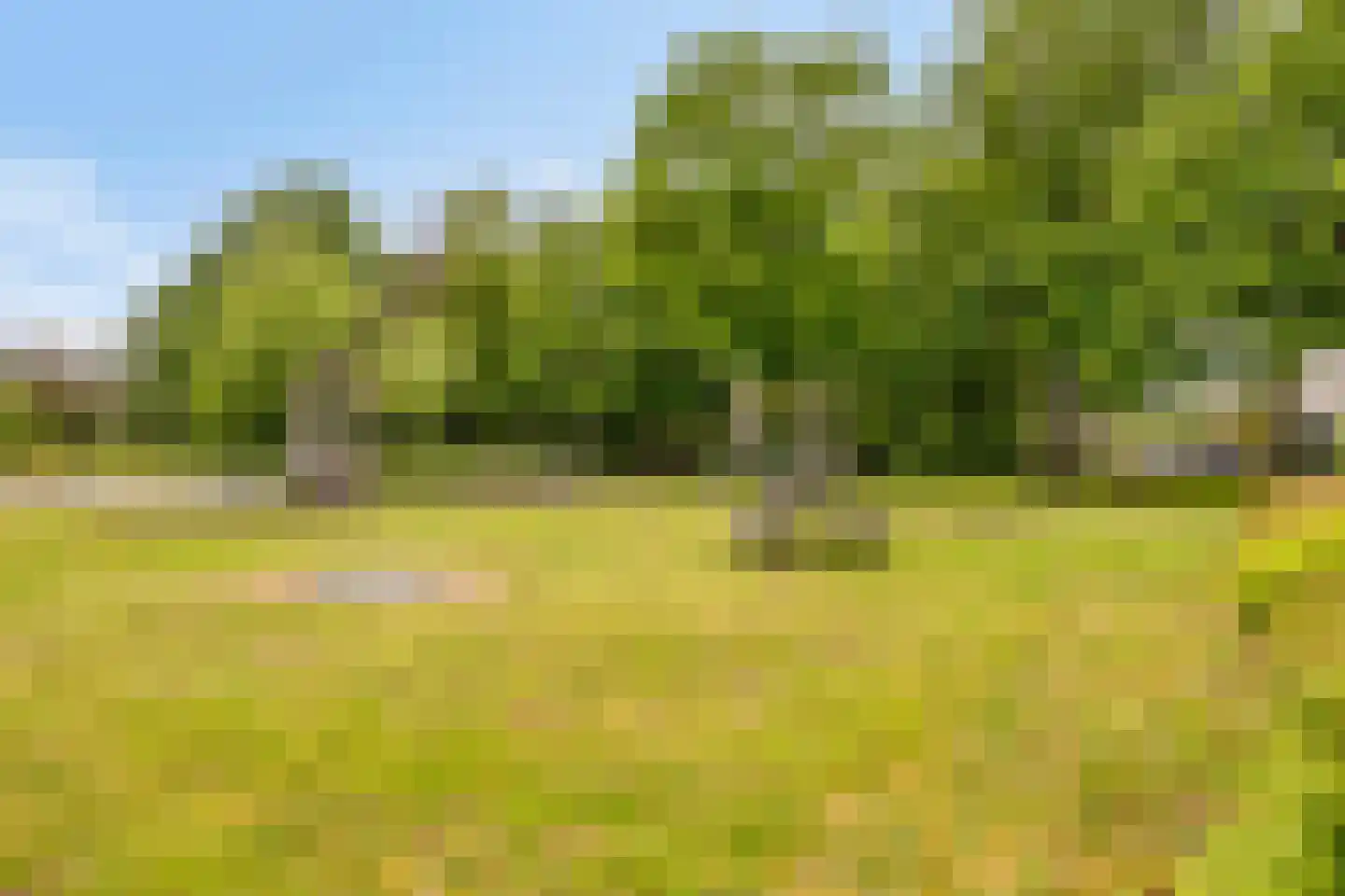 Bessenhof 4 Uden thumbnail 54