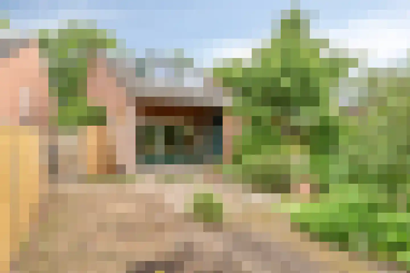 Bessenlaan 14 Oss thumbnail 21