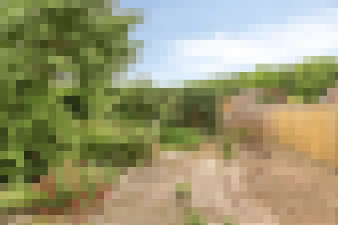 Bessenlaan 14 Oss thumbnail 22