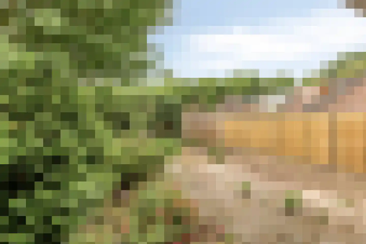 Bessenlaan 14 Oss thumbnail 23