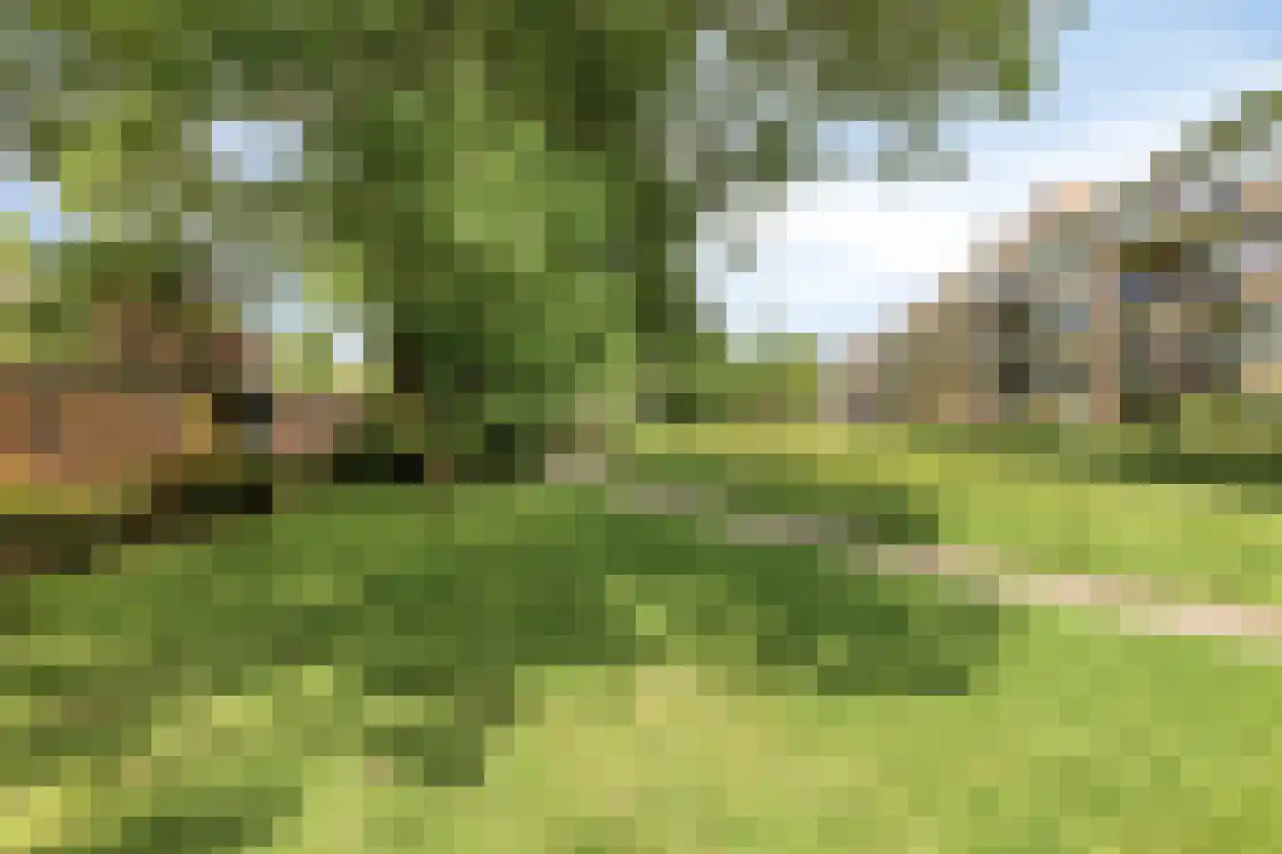 Bessenlaan 14 Oss thumbnail 26