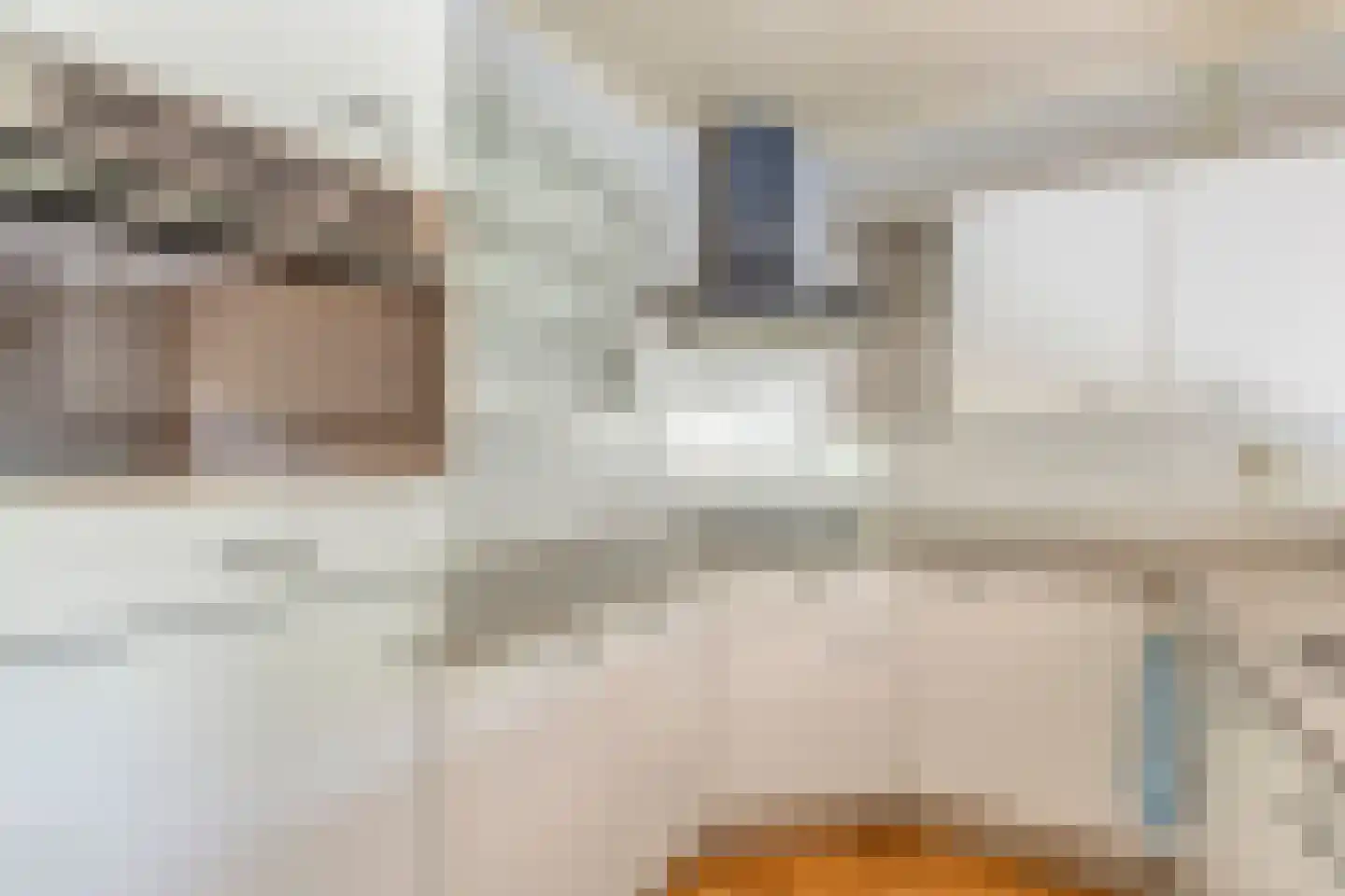Bessenlaan 14 Oss thumbnail 6