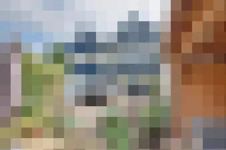 Bessenland 3 Amerongen thumbnail 32