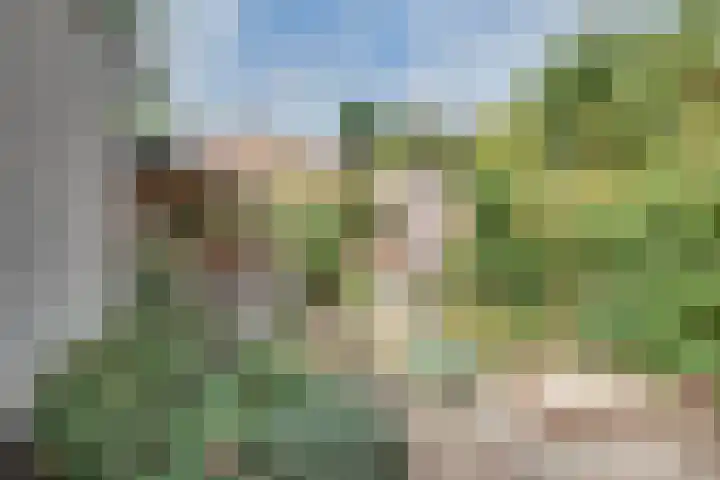 Bessenland 3 Amerongen thumbnail 37