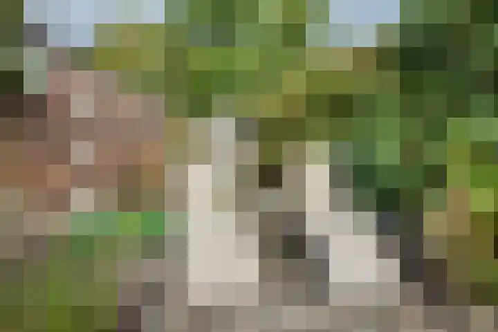 Bessenland 3 Amerongen thumbnail 38