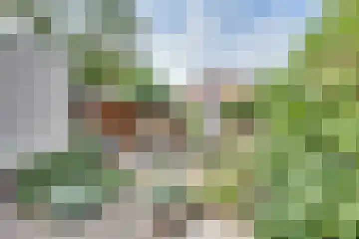 Bessenland 3 Amerongen thumbnail 39