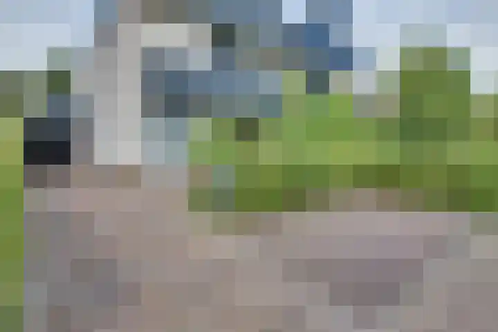 Bessenland 3 Amerongen thumbnail 41
