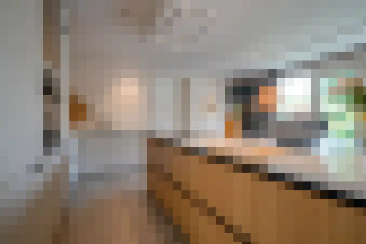 Bessenland 8 Amerongen thumbnail 10