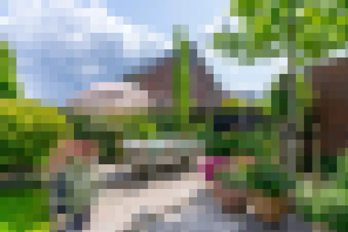 Bessenland 8 Amerongen thumbnail 43