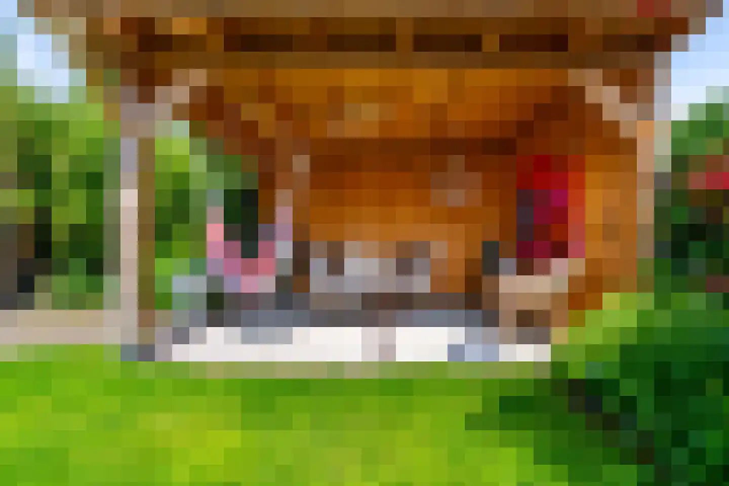 Bessenland 8 Amerongen thumbnail 46