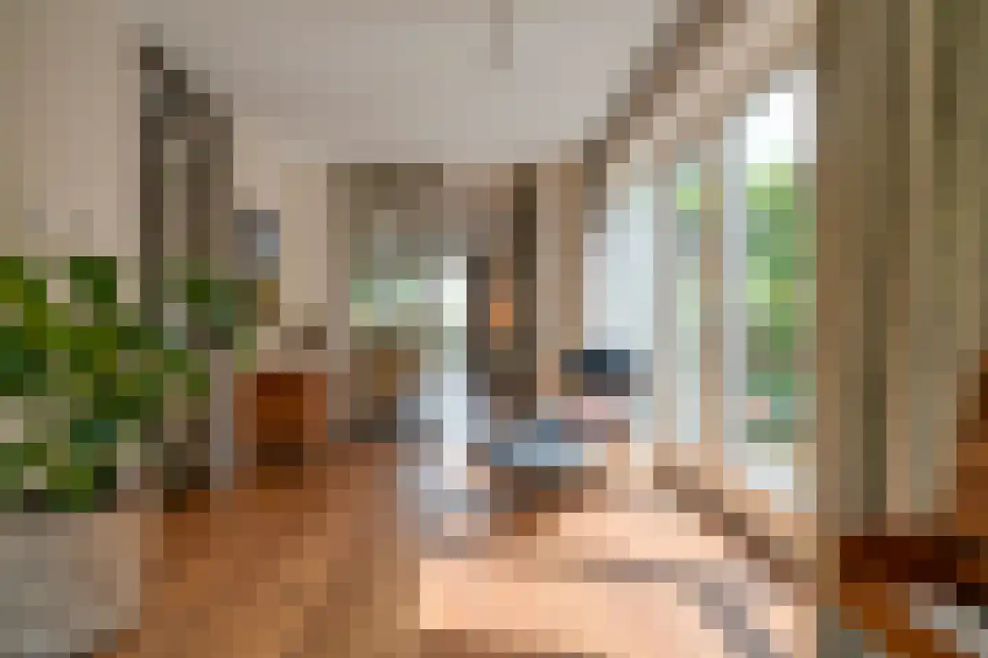 Bessenland 8 Amerongen thumbnail 8