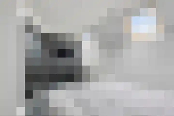 Bessenmaat 18 Huissen thumbnail 17