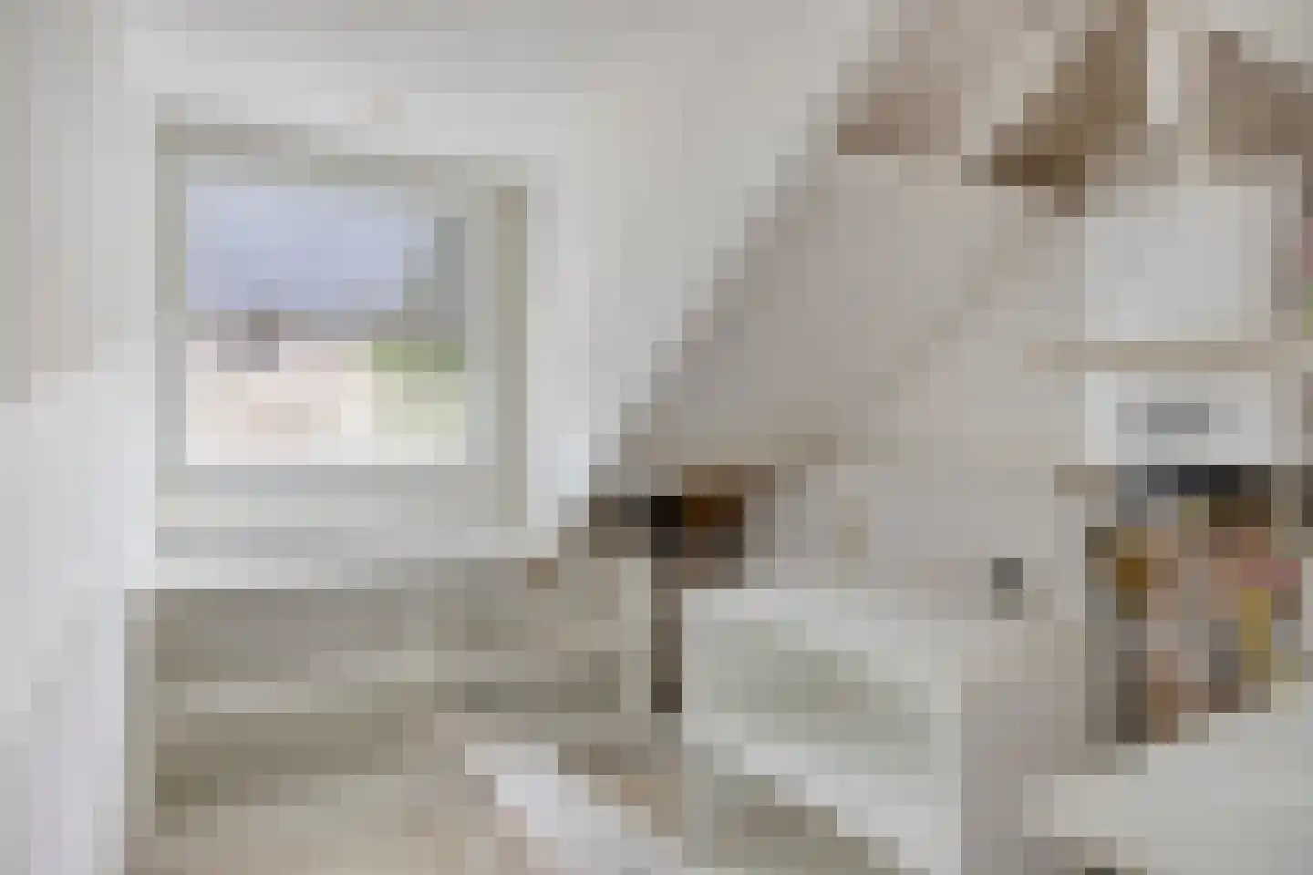 Bessenmaat 18 Huissen thumbnail 23