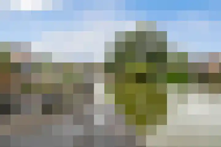 Bessenmaat 18 Huissen thumbnail 23