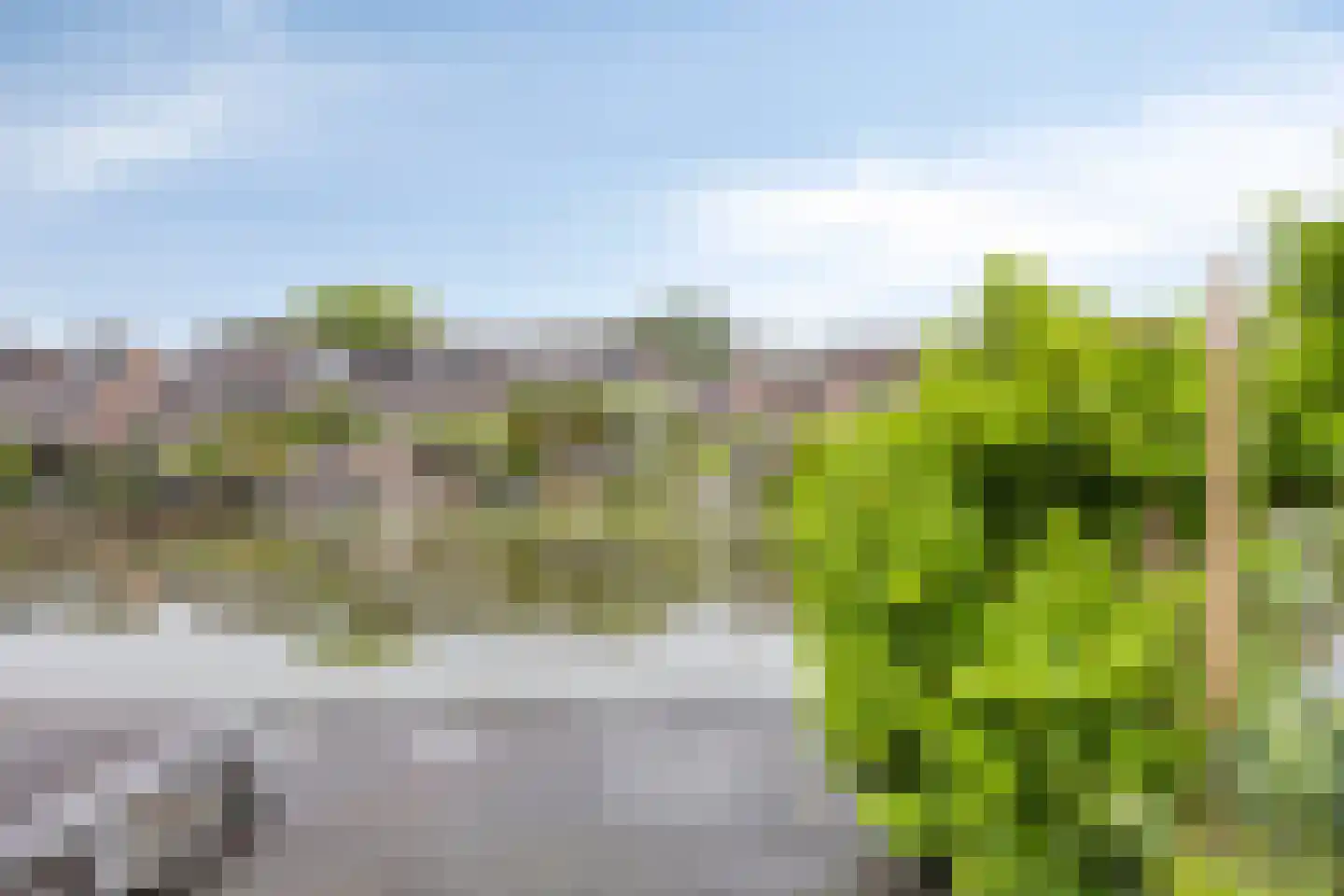 Bessenmaat 18 Huissen thumbnail 28