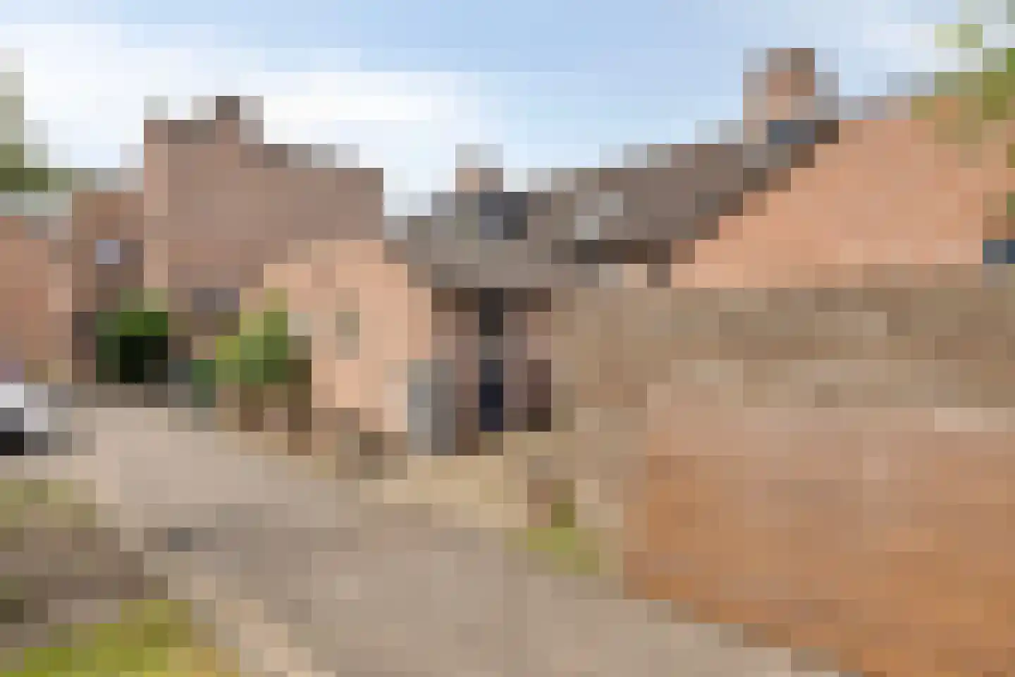 Bessenmaat 18 Huissen foto 3