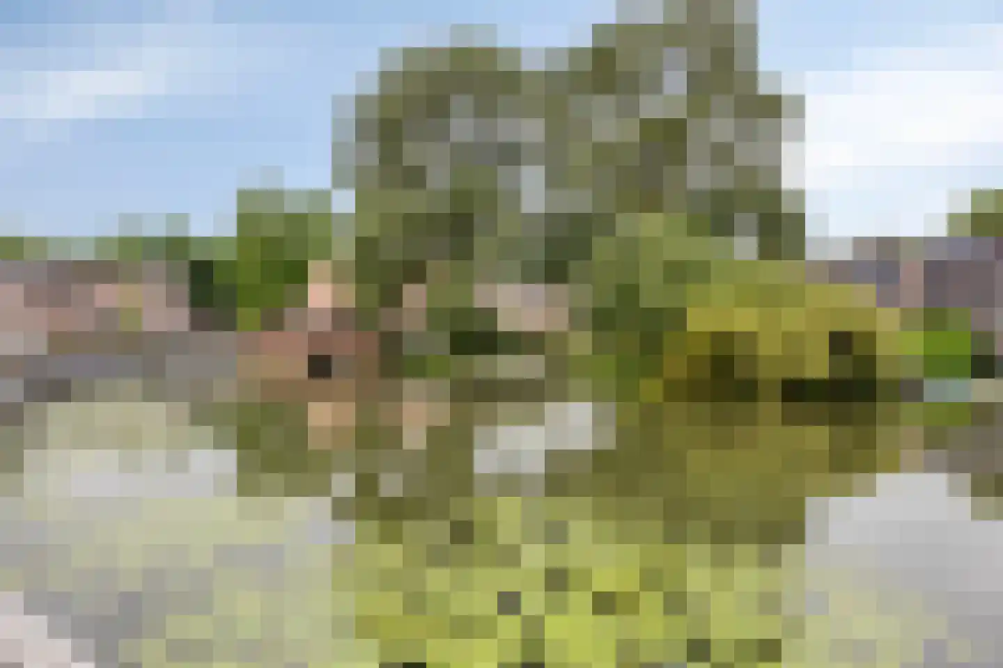 Bessenmaat 18 Huissen thumbnail 37