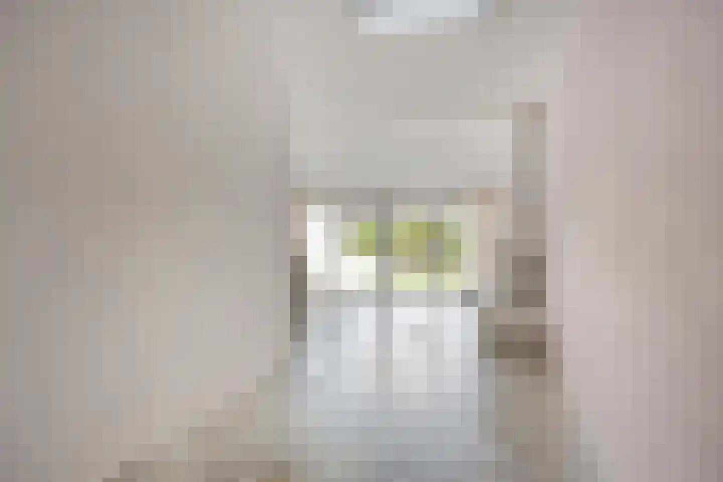 Bessenmaat 18 Huissen thumbnail 6